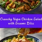 Napa Chicken Salad with Sesame Dressing Recipe