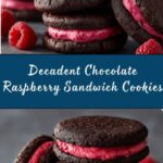 Chocolate Raspberry Sandwich Cookies Recipe