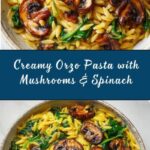 Easy Orzo Pasta with Mushrooms & Spinach Recipe