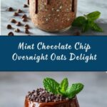 Mint Chocolate Chip Overnight Oats Recipe