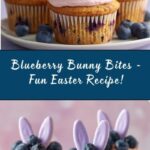 Easter Blueberry Bunny Bites Recipe
