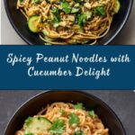 Spicy Peanut Noodles with Cucumber Recipe