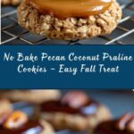 Easy No Bake Pecan Coconut Praline Cookies Recipe