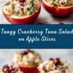 Cranberry Tuna Salad on Apple Slices Recipe