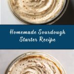 Sourdough Starter Recipe