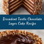 Turtle Chocolate Layer Cake Recipe