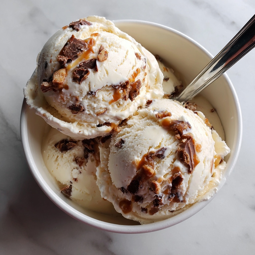 Moose Tracks Protein Ice Cream Recipe - Recipe Image